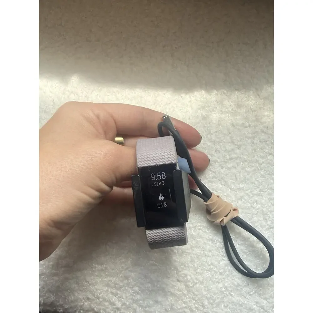 Fitbit Lott 4 Are Tested And Working, The rest Are Untested